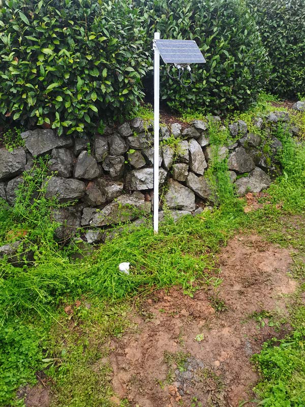 杭州西湖龍井村茶園土壤墑情監(jiān)測(cè)儀項(xiàng)目