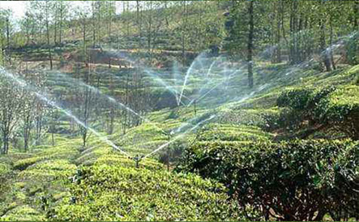 土壤墑情自動監(jiān)測站茶園灌溉中能發(fā)揮什么作用？